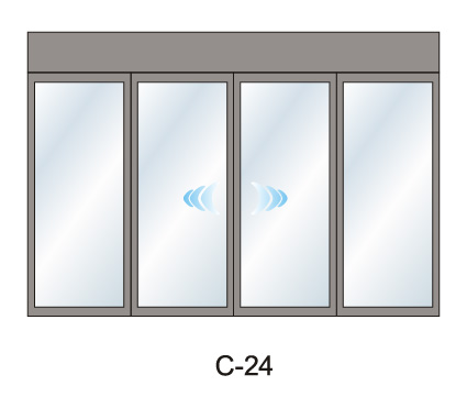 C-24